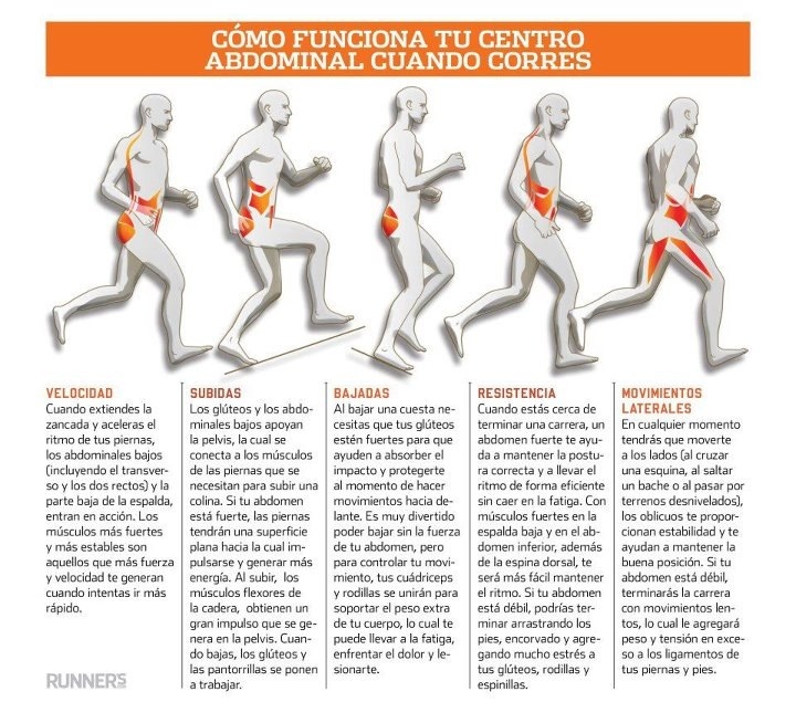 Com treballa el teu abdomen quan corres